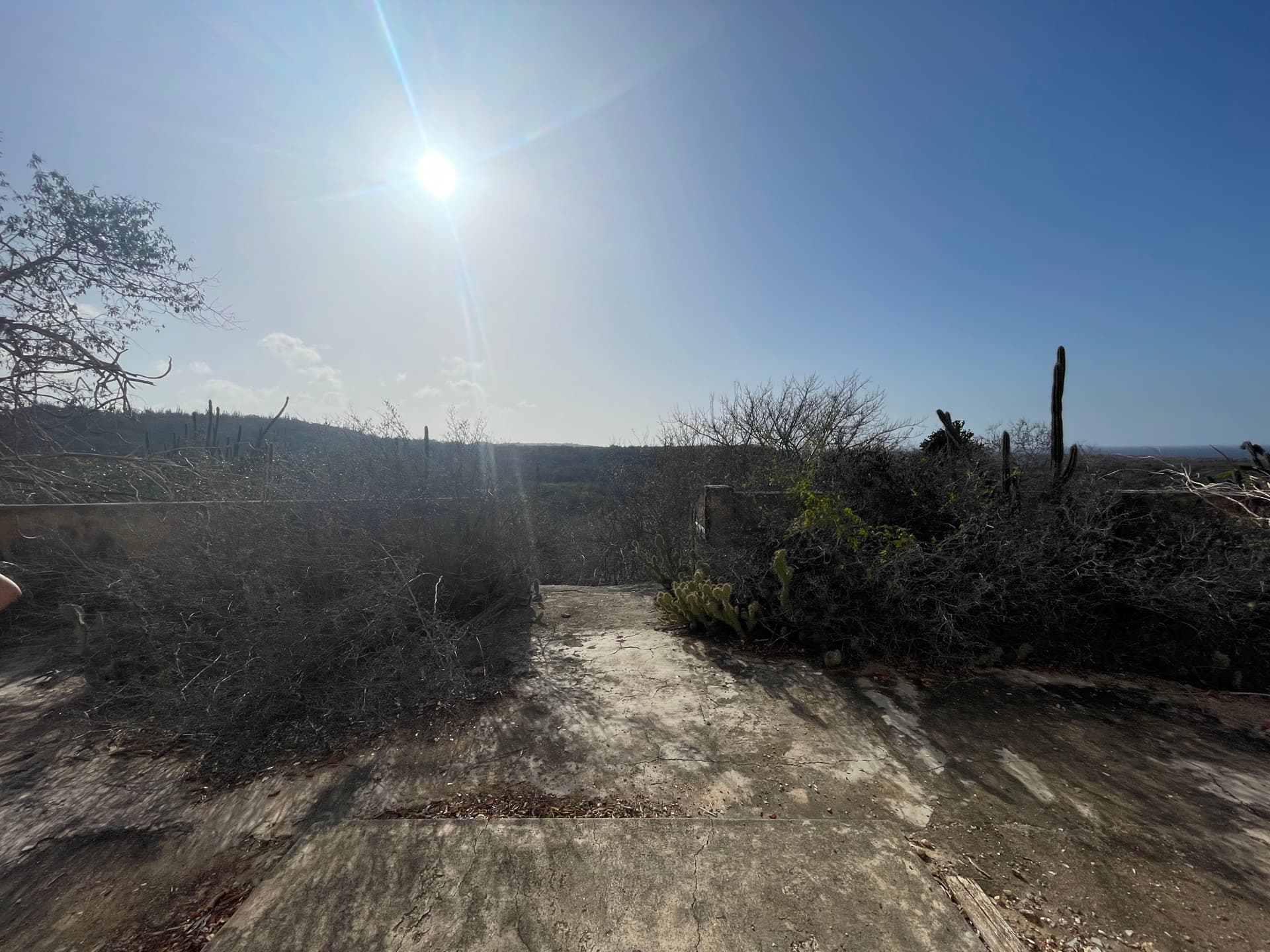 Natuur & Landschap