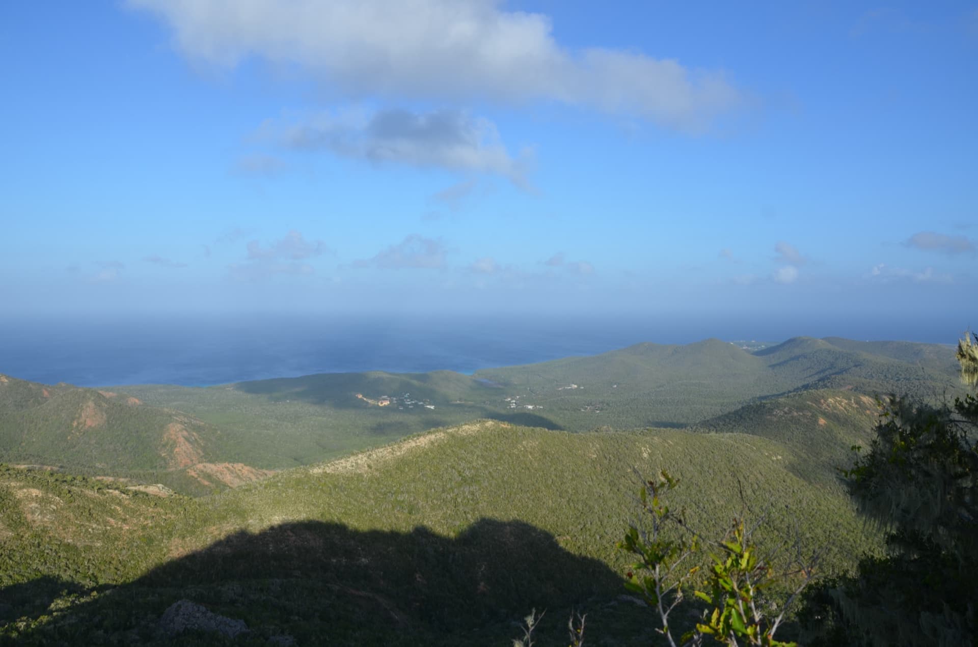 Nature & Wildlife of Curaçao