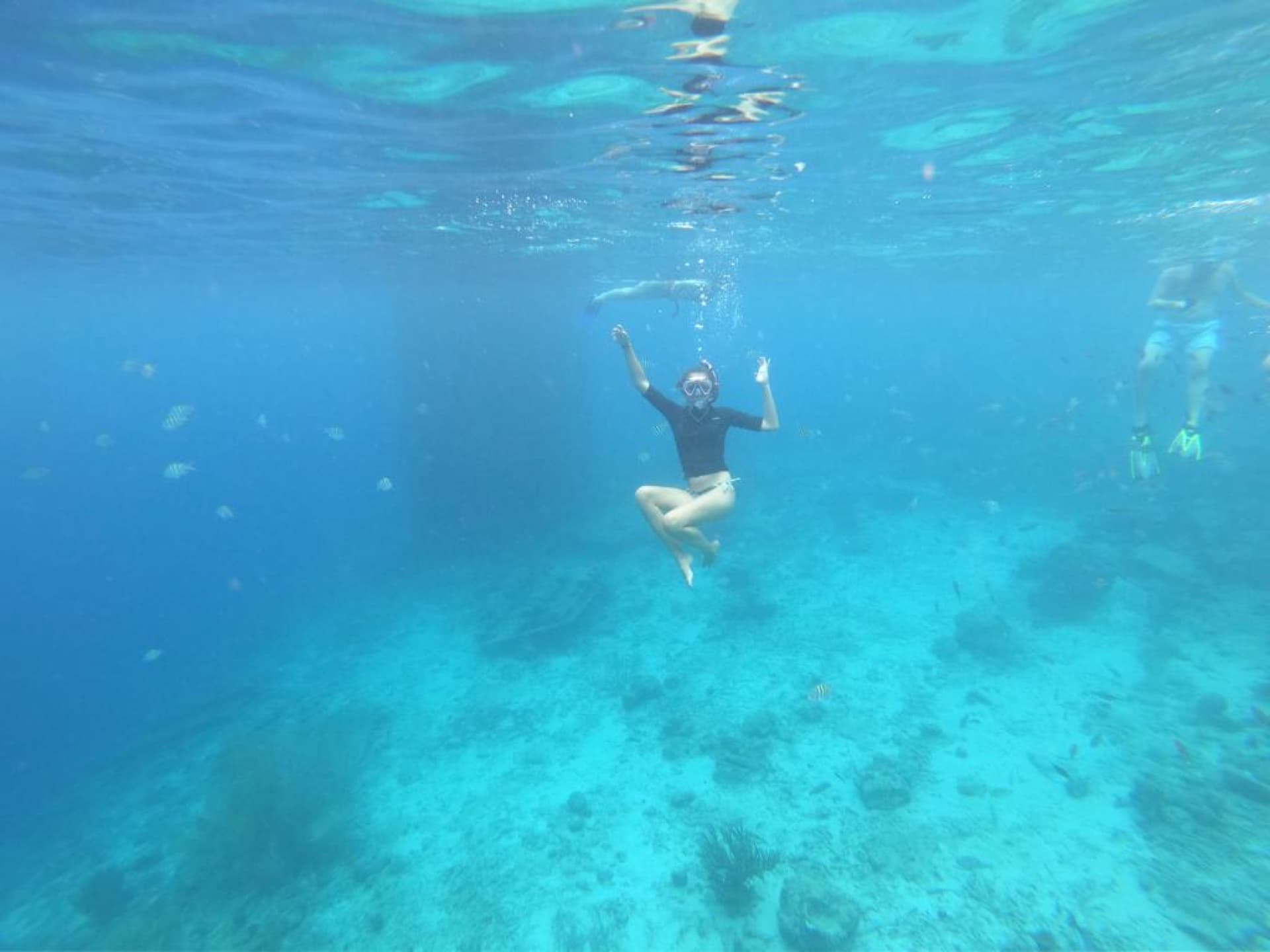Full Coast Sea Safari