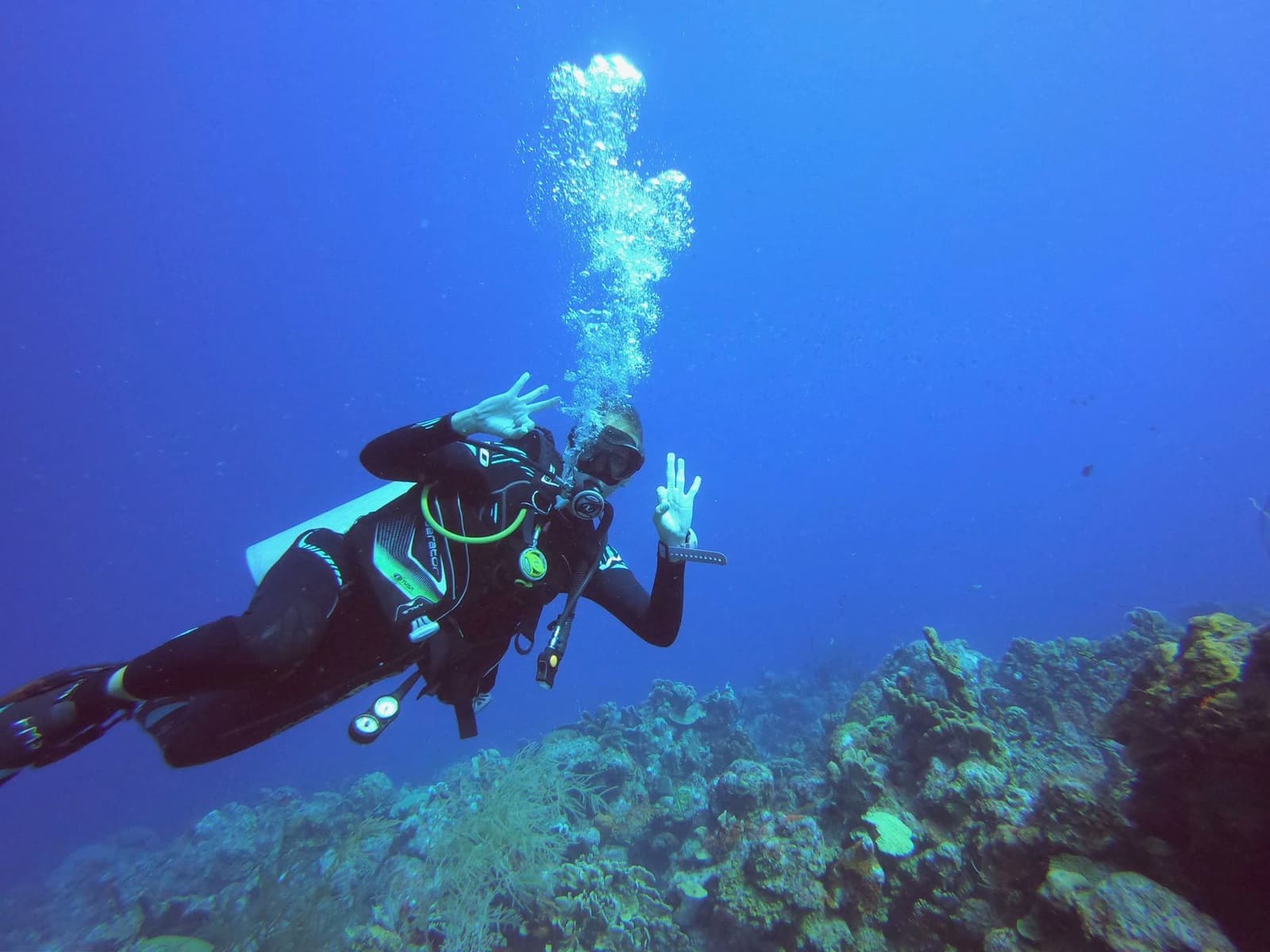 Diving in Curaçao