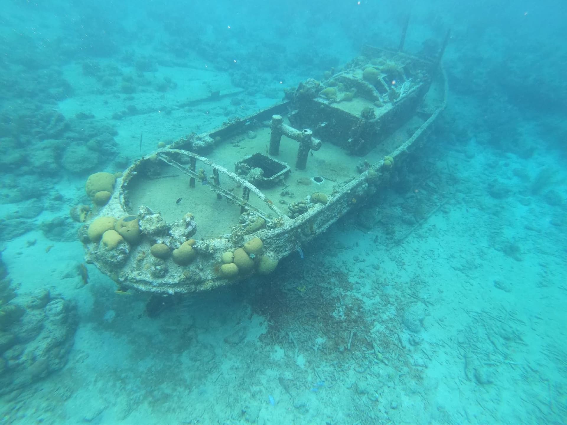 Tugboat — Het Beroemdste Ondiepe Wrak van Curaçao